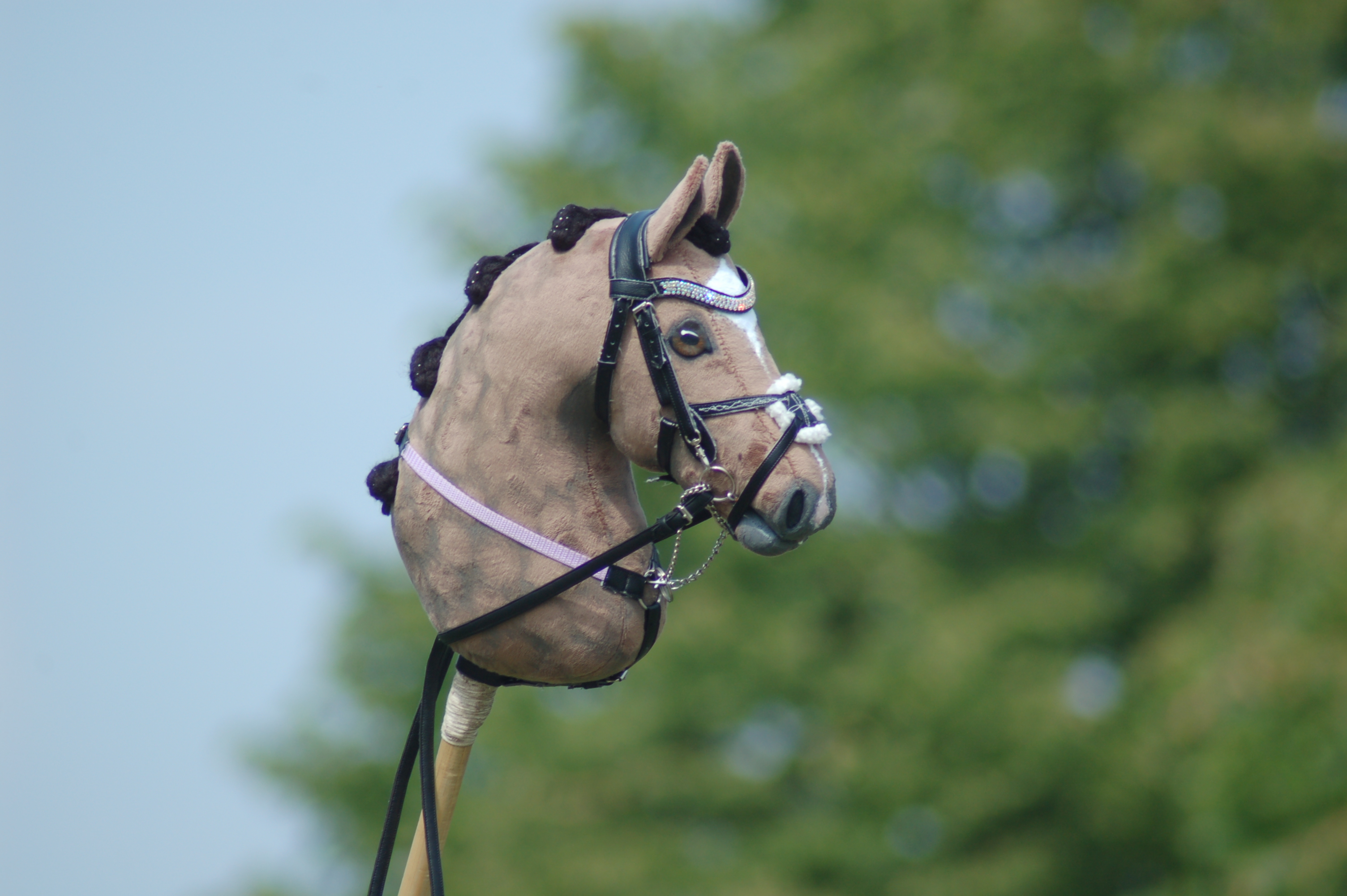 Hobby horse fiord, hobby horse, hobby horse with bridle, steckenpferd, horse  on a stick, hobbyhorse, fiord, realistic hobby horse